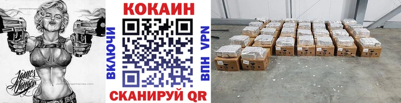 где купить наркоту  Советская Гавань  Кокаин Fish Scale 
