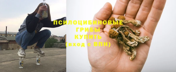 тгк Алексеевка