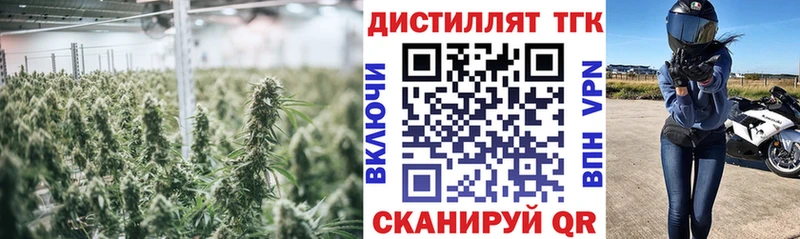 маркетплейс телеграм  Советская Гавань  ТГК вейп 