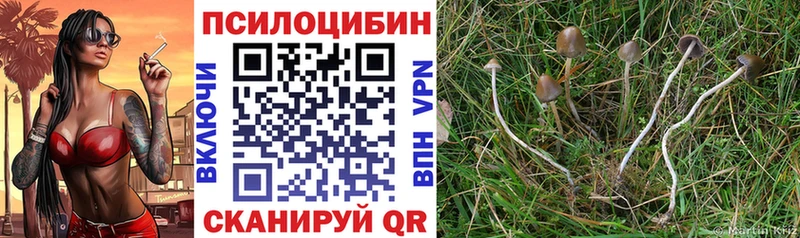 Галлюциногенные грибы MAGIC MUSHROOMS  купить наркотики цена  Советская Гавань 